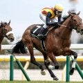 【AI予想・七夕賞】小回り福島の難解なハンデ戦！ バラエティに富んだ人工知能の本命候補とは
