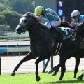 スプリント戦で強さをみせるヤマニンアルリフラ 背景には母から受け継いだスピード色の強い血