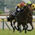 好走データに該当ドゥラドーレスに注目