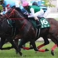 七夕賞に挑む田中勝春調教師 エヒトと掴んだ22年の勝利を振り返る