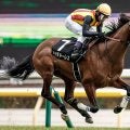 【七夕賞】戸崎圭太騎手が歴代単独トップの5勝目へ ドゥラドーレスを重賞初制覇に導くか