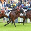 【仏ジャンプラ賞】グラファール師「一気に加速してくれた」ウッドショーナが直線一気の差し切りV