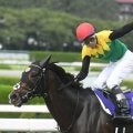 注目のタイトルホルダー産駒 今年の上場馬は？