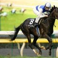27年ぶりに1番人気の戴冠 ダイワレイダースの七夕賞