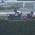ラスカンブレス、小倉記念1週前追い切り速報/栗東トレセンニュース