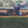メリオーレム、小倉記念1週前追い切り速報/栗東トレセンニュース