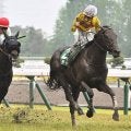 【小倉記念想定】カラテやエピファニーなど15頭