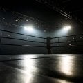 ２冠王者の２９歳プロレスラーが契約違反→引退表明　団体から１年間の活動謹慎、違約金の処分を受けて