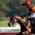 父に無敗の凱旋門賞馬やJpnI覇者など セレクトセールの“レア産駒”を紹介