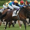 金子真人オーナーがセレクトセールで落札した名馬たち