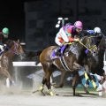 【スパーキングレディーC】松山「負けられないレースでした」テンカジョウは3着まで