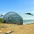 夏に涼しい地域 試合への工夫さまざま