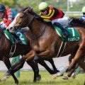 半姉はGI・2勝のチェルヴィニア チェルヴァーラがデビュー勝ち狙う