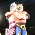 来年引退4代目タイガーが継続参戦希望