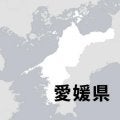 熱い闘い始まる　全国高校野球選手権愛媛大会、11日に開会式
