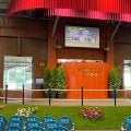 “6億円馬”が約20年間も不動の1位 セレクトセール高額馬ランキング