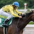 【七夕賞枠順確定】シリウスコルトは5枠8番、ドゥラドーレスは8枠15番