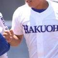 白鴎大足利がコールド勝利で初戦突破