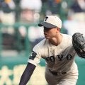 東洋大姫路が史上初の「3連覇」へコールド発進！明石商、育英などシードも初戦突破！兵庫大会【25年夏高校野球】







