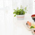 飲まない方も要注意！肝臓の働きと食生活のポイント