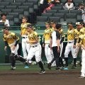 【阪神】２リーグ分立後最長の12連勝を目指す　先発村上もリーグトップの８勝目に挑む