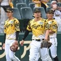 阪神　今年もこの季節がやってきた　ウル虎の夏ユニホーム初披露　試合前ノックでカメラを構えるファン続出