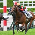 【北斗特別】半兄は名馬キタサンブラック アルマデオロが連勝なるか