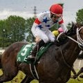 【小倉記念想定馬・騎手】ハピ、マイネルメモリーなど18頭
