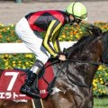 函館芝はコース巧者に注 エラトーが一変みせるか