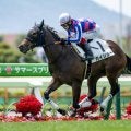【函館2歳S想定馬・騎手】カイショー、ブラックチャリスなど10頭