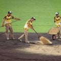 阪神　雨天中断の甲子園　阪神園芸がグラウンドに砂入れ　除去パッドで浮いた水を吸い取る作業