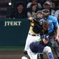 【阪神】坂本誠志郎が好送球で二塁走者を三塁でアウトに　４点差に迫った直後、追加点許さず
