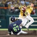 【阪神】中野拓夢ナイスボディー　雨天時の土入れでイレギュラーも体で止めた　何度も腹さする