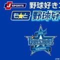 【横浜好き】ベイスターズ、逆転優勝へ向けて緊急補強を敢行