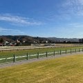 【七夕賞】コスモフリーゲンが大接戦を制する