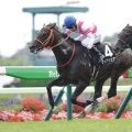 ディープ産駒 ケイアイセナが初勝利
