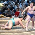 安青錦「内無双」で初の大関撃破「体が勝手に動いた」琴桜に勝利「スー女」も興奮「曲者すぎる」