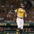 阪神・佐藤輝明が先制の２３号２ラン！確信のバット投げ　今季初、甲子園の右翼席弾への一発にファンどよめく