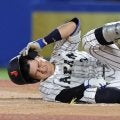 【日米大学野球】日本の主砲にアクシデント　創価大の立石正広が右ひざ付近に死球を受け途中交代