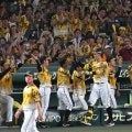 阪神・佐藤輝 V2ランで貯金19に