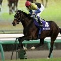 ディープインパクト産駒がJRA通算2800勝達成