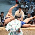草野 番付発表の日に初めてマゲ結う