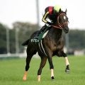 2歳重賞勝ち馬史上最大の馬体減 “-22kg”で制したアンブロワーズの函館2歳S
