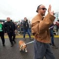 パドックの愛犬同伴ブーム、ハミルトンとルクレールに続いてガスリーも参戦