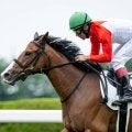 【函館2歳S見どころ】ポテンシャル高いブラックチャリス