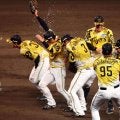 阪神　まるでサヨナラ勝ちの光景！森下翔太のバックホームでもぎ取った１勝　歓喜のウォーターシャワーで大山＆近本も巻き添えに
