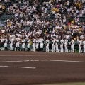 阪神が助っ人補強発表「きたか！」　ファン興奮…枠は残り1「背番号凄い」「藤浪どうなる」
