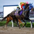 【大井・サンタアニタT枠順】さきたま杯4着のティントレットは4枠4番
