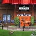【セレクトセール2025】今年最初の3億円到達は「コンヴィクションIIの2024」 ダノックスが3億円で落札