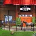 【セレクトセール2025】キズナ産駒が2億円超え